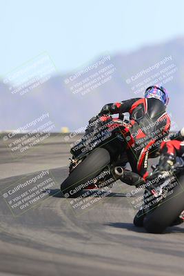 media/Mar-09-2024-SoCal Trackdays (Sat) [[bef1deb9bf]]/11-Turn 12 Backside (230pm)/